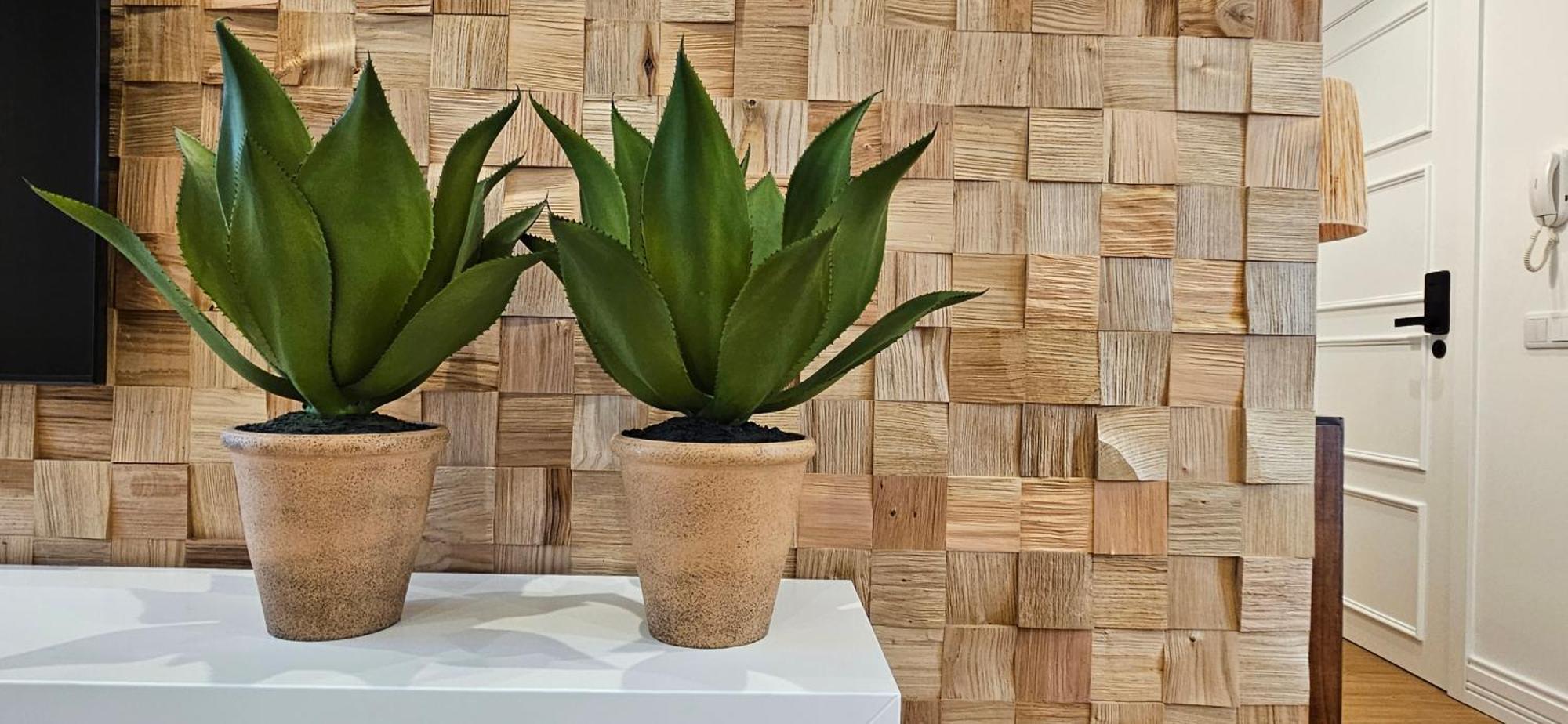 Casa "Avo Chupeta" - Nazare - Alojamento Local المظهر الخارجي الصورة
